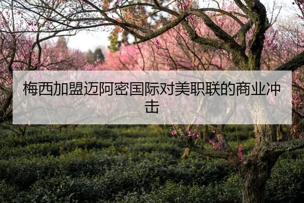 梅西加盟迈阿密国际对美职联的商业冲击